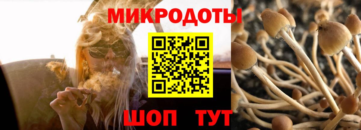 Галлюциногенные грибы MAGIC MUSHROOMS  Вход с VPN  Псилоцибиновые грибы мухоморы  Магадан 