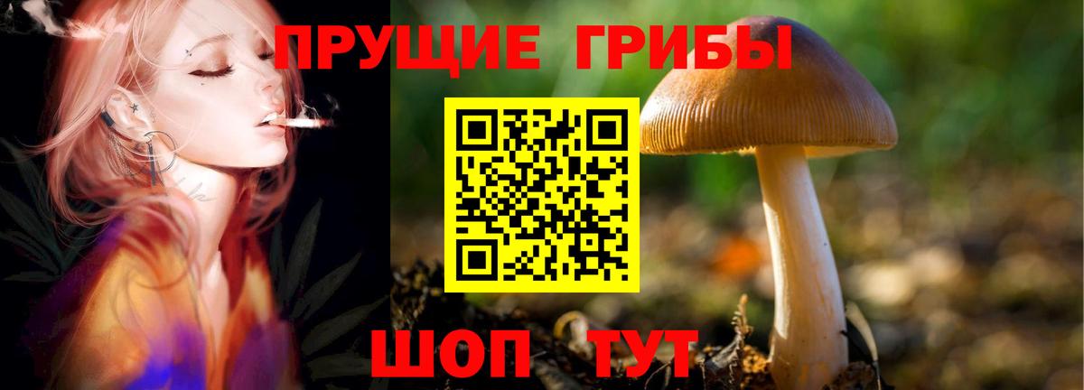 Псилоцибиновые грибы прущие грибы Магадан
